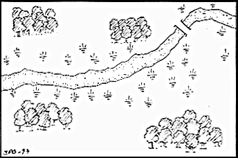 Map of the battlefield